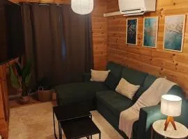 Le Nid du Lac, Chalet à côté du lac Chalain