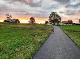 Apartment Les Grangettes by Interhome