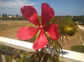 Camera singola in affitto con bagno privato interno