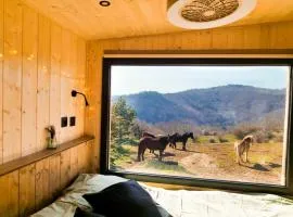 Homnest - Bosquet des Domes n2 - Puys a cheval