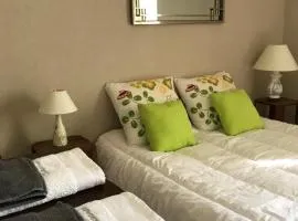 chambre spacieuse dans maison de ville avec jardin