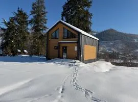 Luxury Home