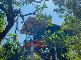 Green Tree House Yala