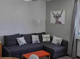 Appartement T1 superdevoluy