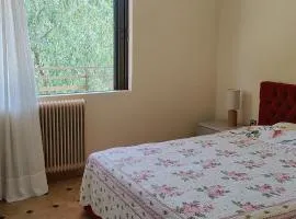 Authentic Garden House in Sounio