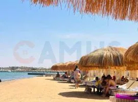 CAMUS 243, Princess Resort