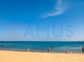 CAMUS 443, Princess Resort