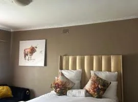 Homely Home Guesthouse