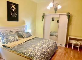 D&D private house in heart of city, hotelli Piteştissä