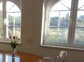 Ferienwohnung "Monte Noble" Südpfalz