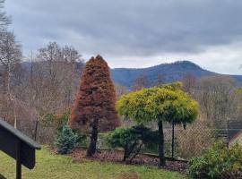 Viesnīca Dziupla pilsētā Górki Wielkie