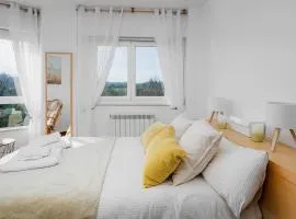 Mirador del Tambre Etapa final del Camino