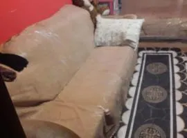 Стая с 2 легла