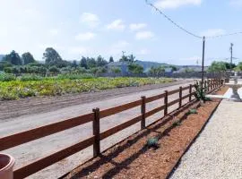 Luxury Farmhouse Near Coast & Wine