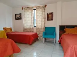 Habitación Tulipán