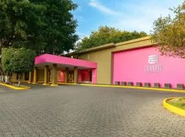 Camino Real Guadalajara