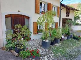 18th C Cottage near Basel, Hiking, Business, Families, Groups, Parking, Fast WiFi, Jura Mountains