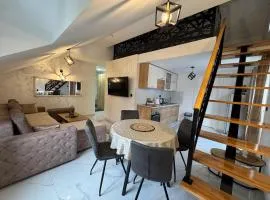 Apartment Star 2 Ledine