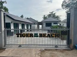 Tiger on the Beach