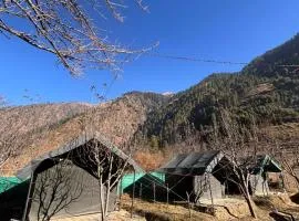 Paradise Camping Apple Orchard