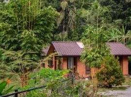 Mangi's Tranquil Bangalows