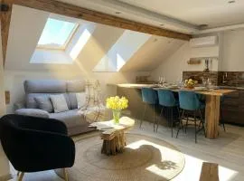 Hyper centre 6 pers 2 chambres 2 salle de bain