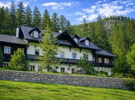 Bergnest im Prielkreuz - Großes Appartment im Ski und Wandergebiet, Hotel in Hinterstoder