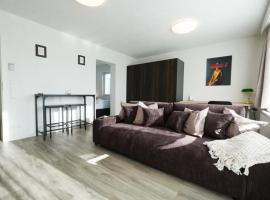 ApartWehr Business & Ferien Apartment Braun, Hotel in Wehr