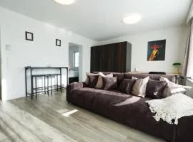 ApartWehr Business & Ferien Apartment Braun