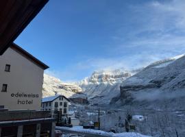 Edelweiss Hotel, hotell i Torla