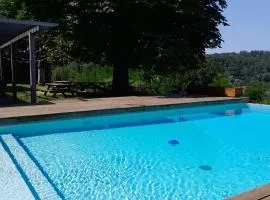 Family villa with swimming pool in Aiguebelette-Le-Lac