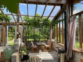 Cozy Cabin 300m from the Lake with Boat & large Greenhouse