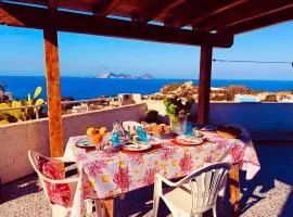 Ponzamania Stella marina