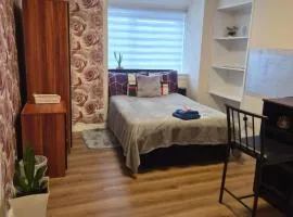 Modern Oasis , Edinburgh Airport near,8mi