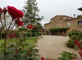 Mas Pareta - La Morera