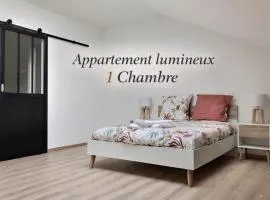 Appartement spacieux et lumineux proche gare