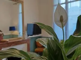 Le Carnot - T2 raffiné au coeur de Libourne