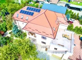 Leaganul Bucovinei Guest House