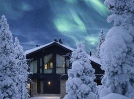 Black Villa, Aurora View Bath & Sauna, Private Design Villa in Lapland, hotel in Kolari