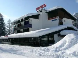 Hotel Davost