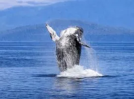 Whale Walk Apartment