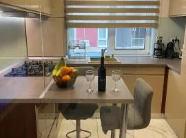 Apartament modern -with Free Parking