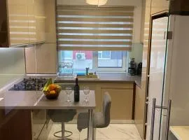 Apartament modern -with Free Parking