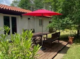 Appartement I zwischen Bordeaux und Atlantik Mirabelle