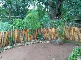 Forest View Escape, Hotel in Vosburg