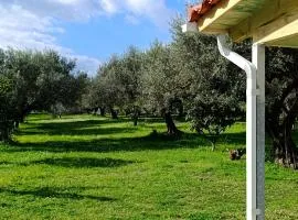 Rizaki Cottage in Nafpaktos