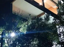 Casa, quincho con playa Panguipulli-Huilo Huilo