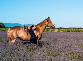 Gîte du Poney Fringant