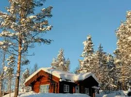 Newly Built Log Cabin Near Hardangervidda