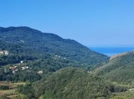 Lumira Vista – Panorama